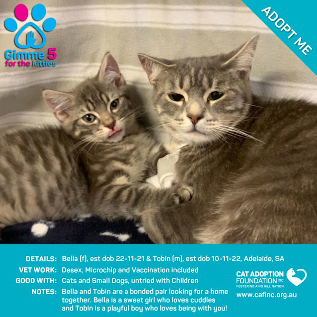 Photo of Tobin And Bella 2 For 1 Mum And Bubs Deal!
