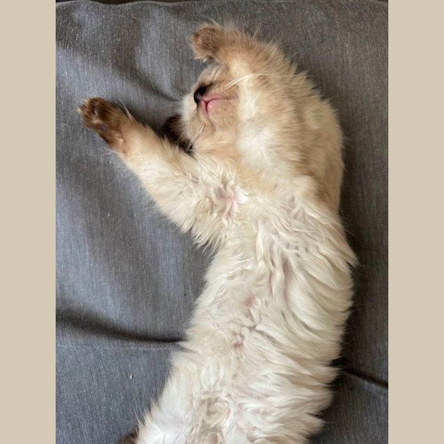 Photo of Willow ❤️🥰