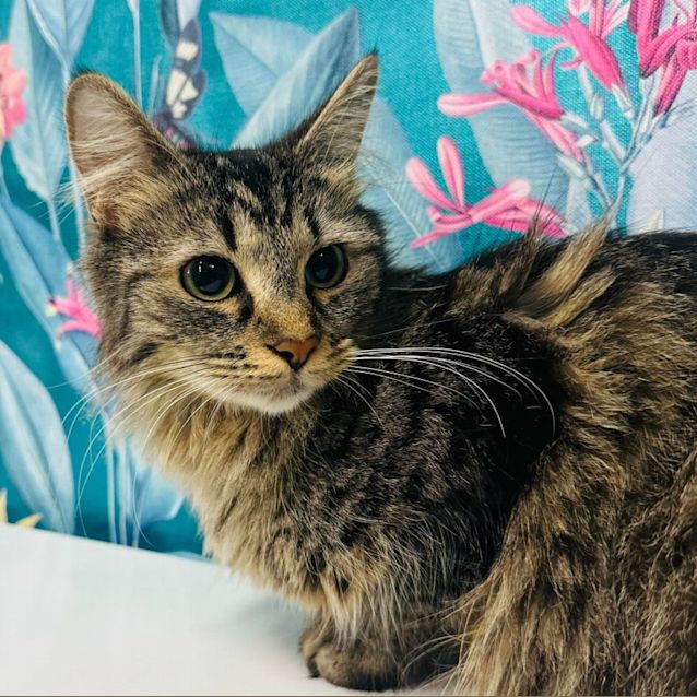 Photo of Florence   Located In Preston