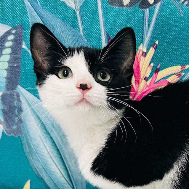 Photo of Cindy   Located In Preston