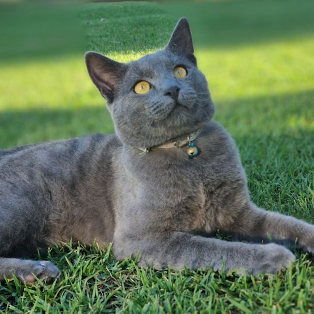 Photo of Clem