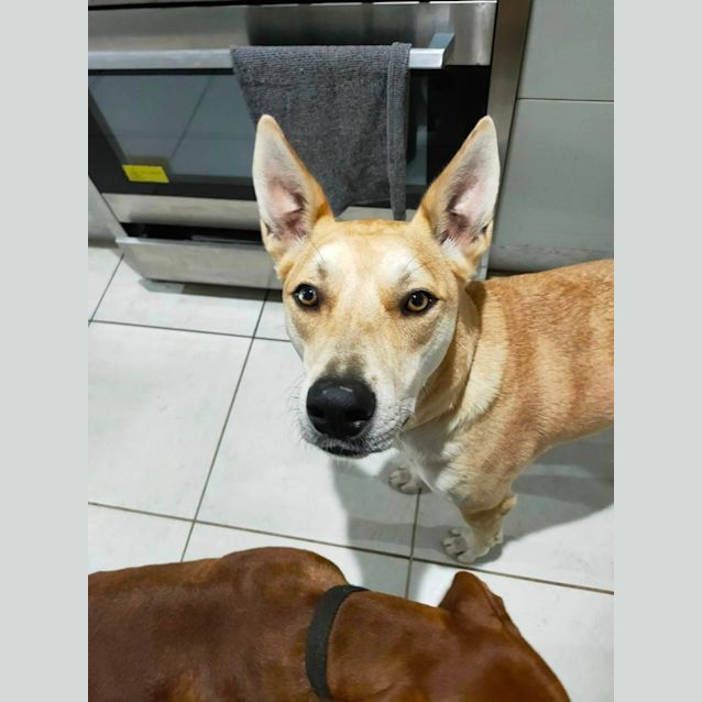 Photo of Ghost