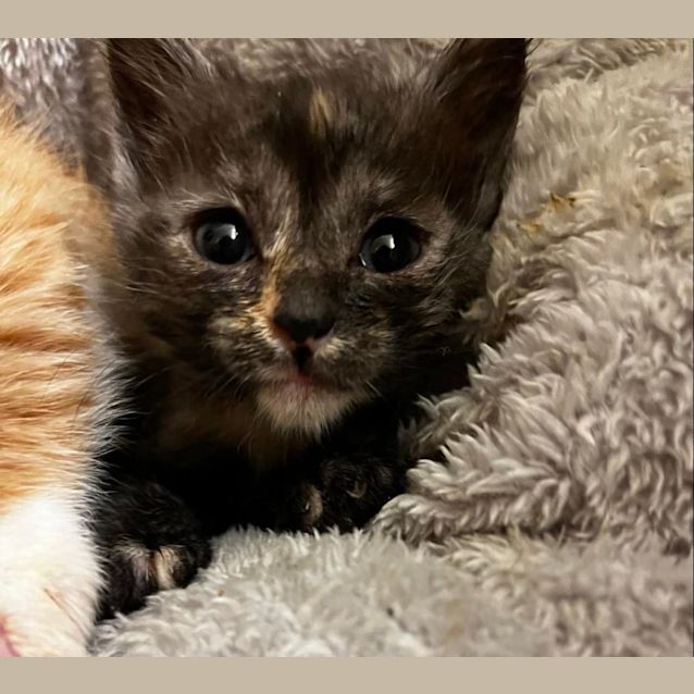 Photo of Pipi And Zero