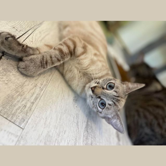 Photo of Sophia And Gracie