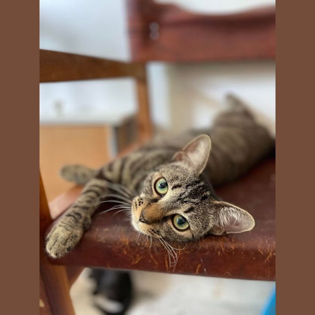 Photo of Sophia And Gracie