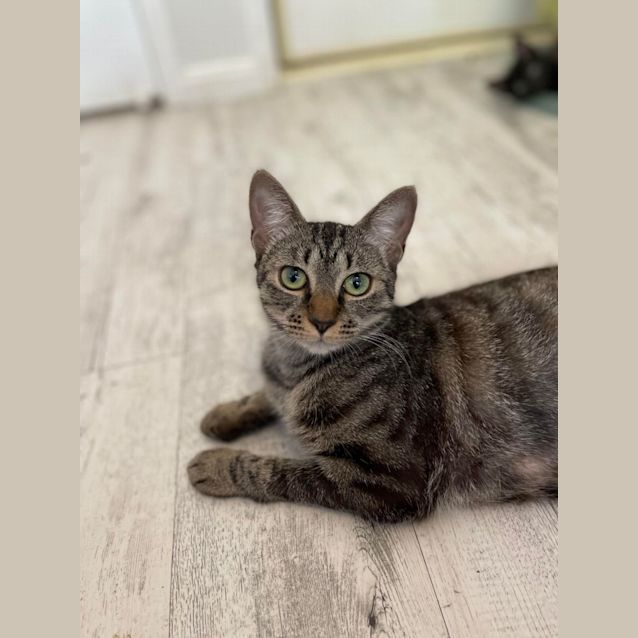 Photo of Sophia And Gracie