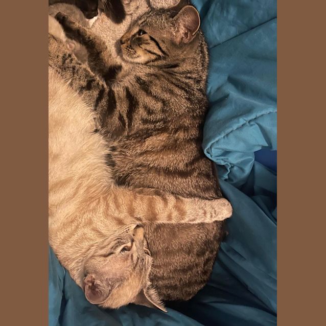 Photo of Sophia And Gracie