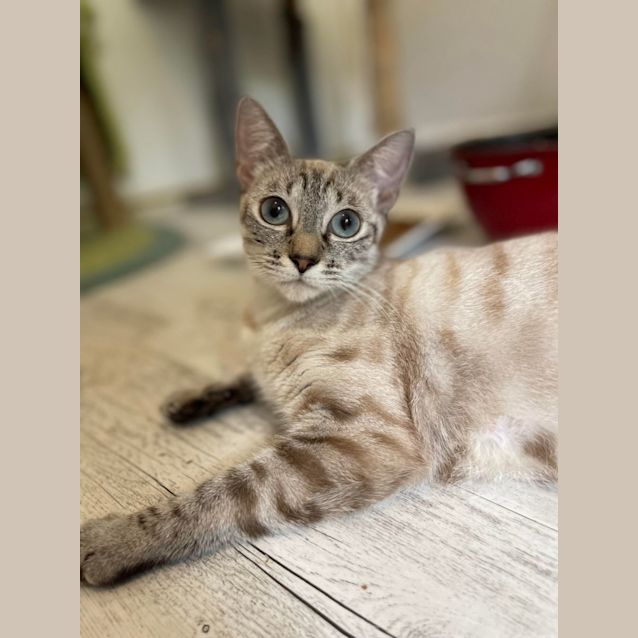 Photo of Sophia And Gracie