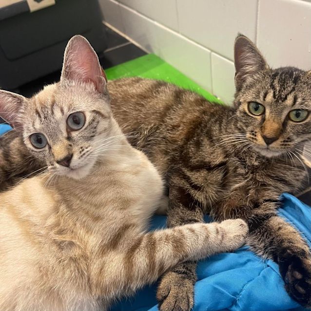 Photo of Sophia And Gracie