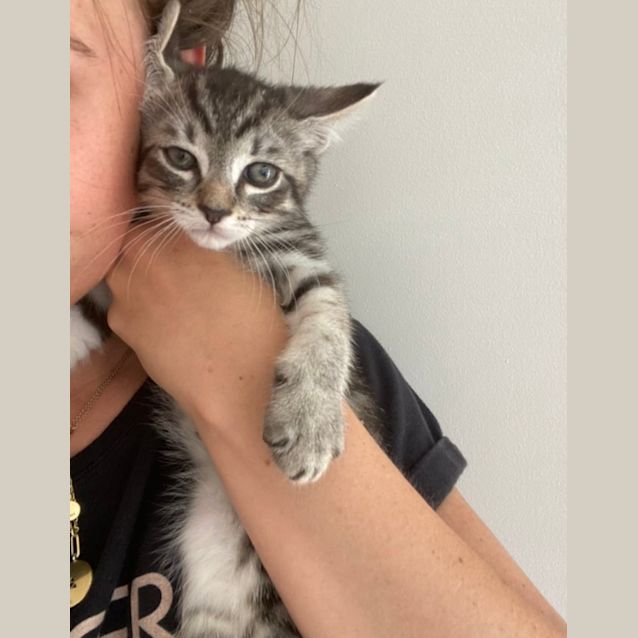 Photo of Lightning & Leon 