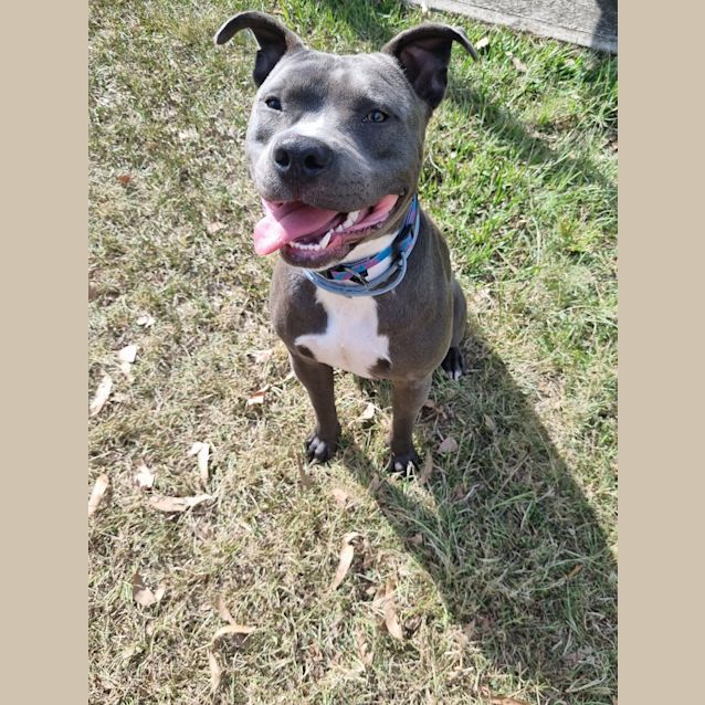 Photo of Jax