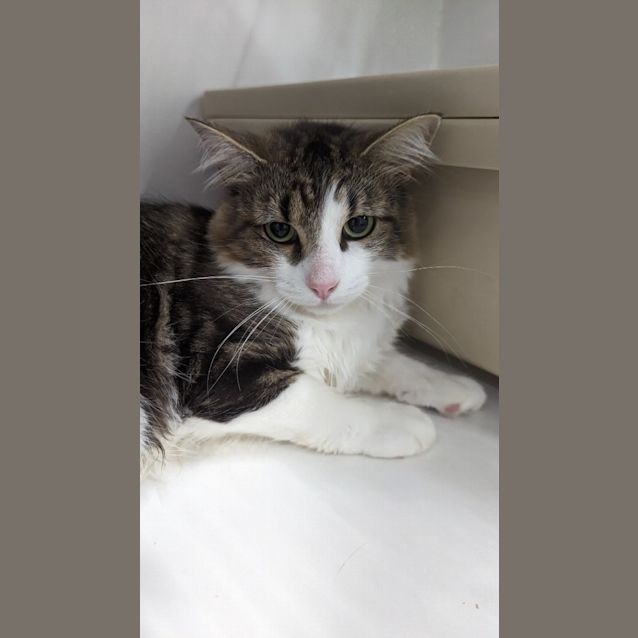 Photo of Todd