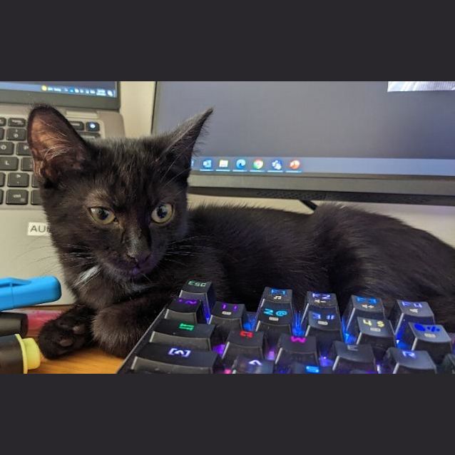 Photo of Alice