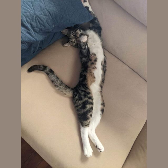 Photo of Olaf And Billy 