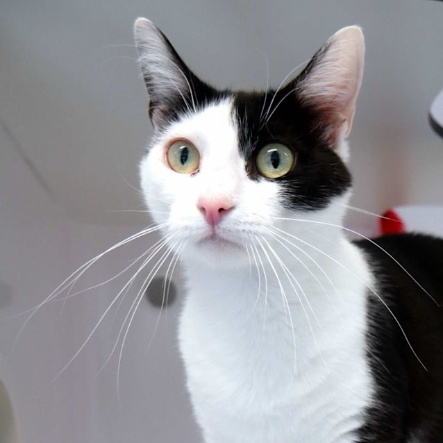 Photo of Elena Sua010767