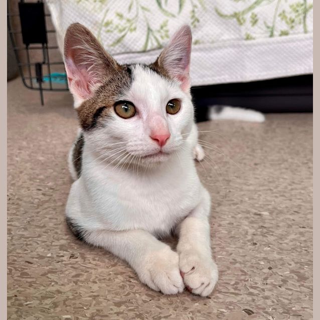 Photo of Winston Bishop