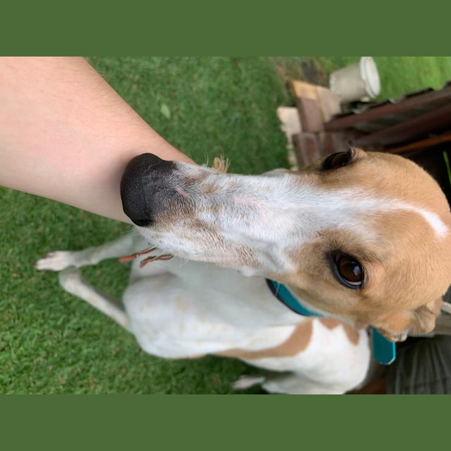 Photo of Riley