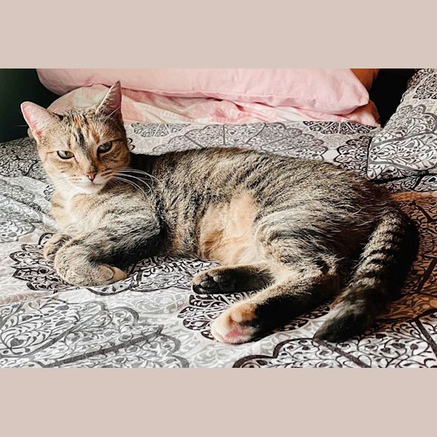 Photo of Lola