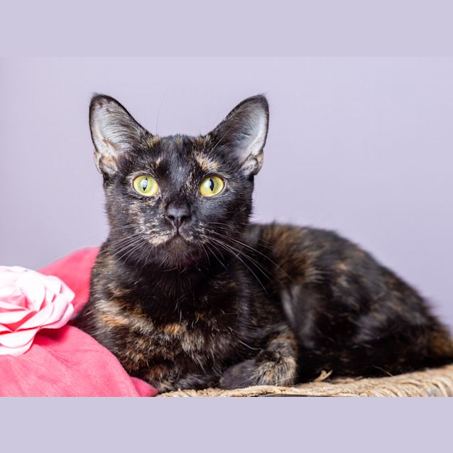 Photo of Hazel