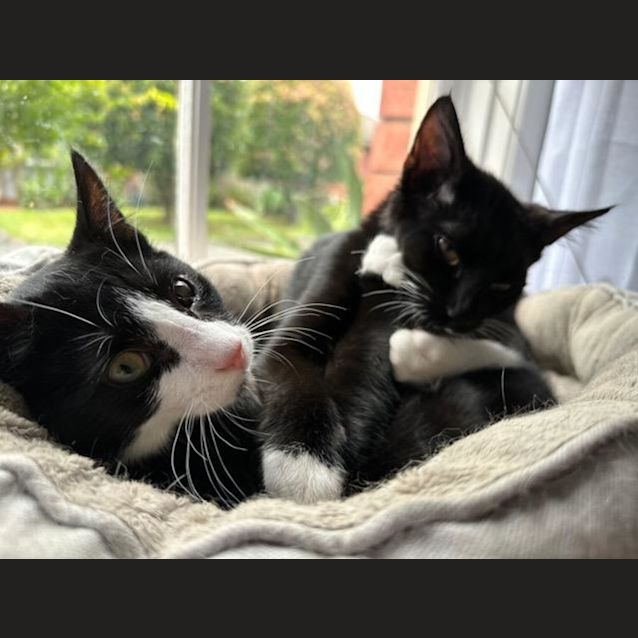 Photo of Joey & Chandler