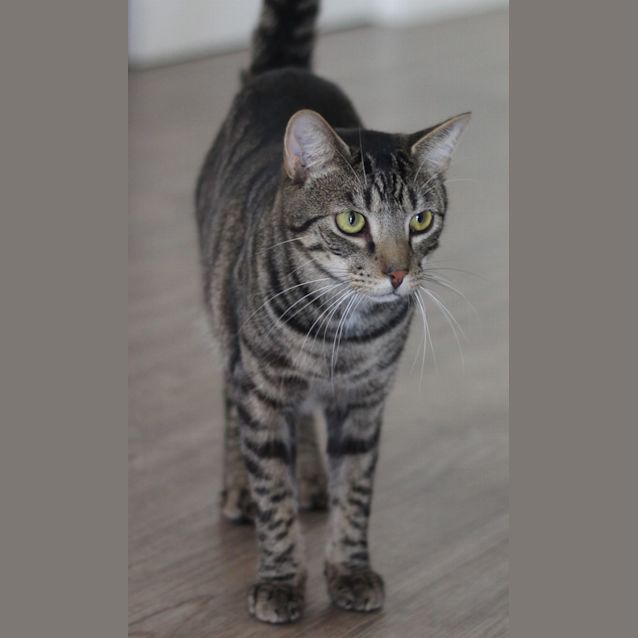Photo of Oliver 