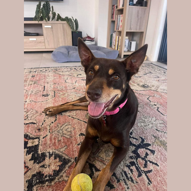 Photo of Annie