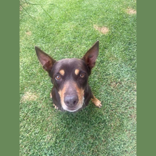 Photo of Annie