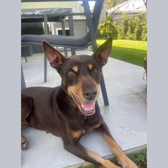 Photo of Annie