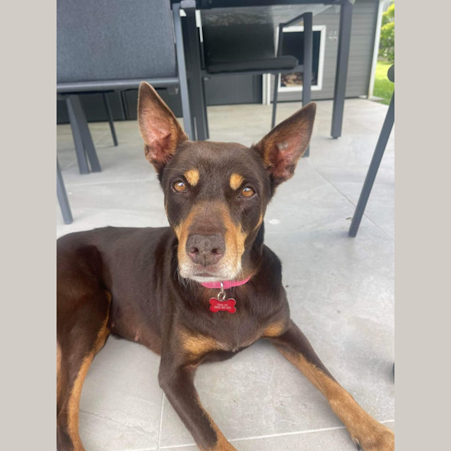 Photo of Annie
