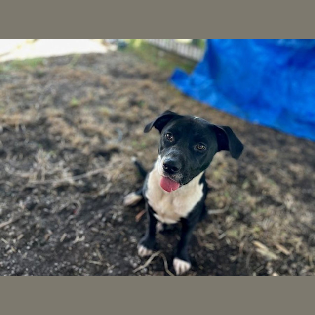 Photo of Ellie (Imp No. 17)