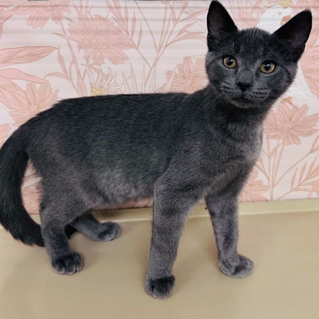 Photo of Prue   Located In Preston