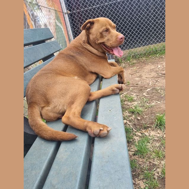 Photo of Lila