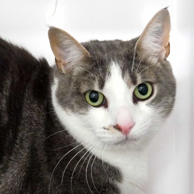 Photo of Sonny Rsuk005856