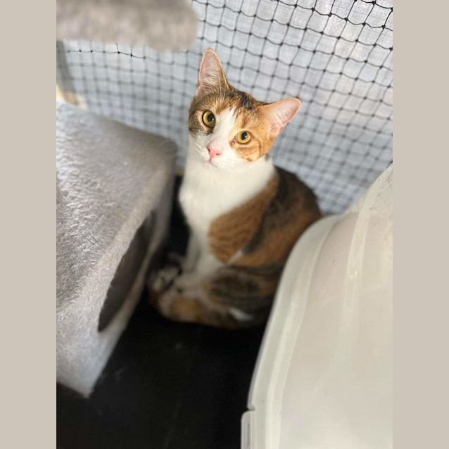 Photo of Kai And Kaya 