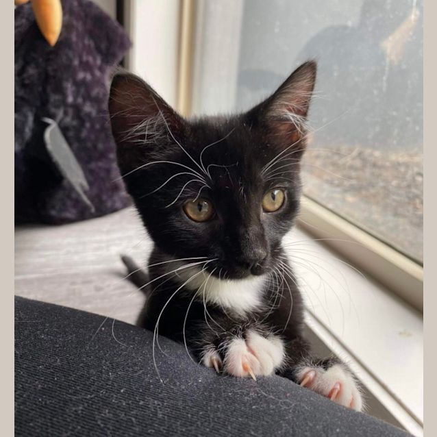 Photo of Lindy & Luna 