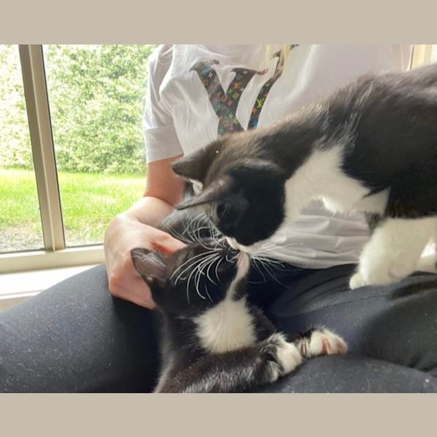 Photo of Lindy & Luna 