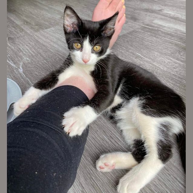 Photo of Lindy & Luna 