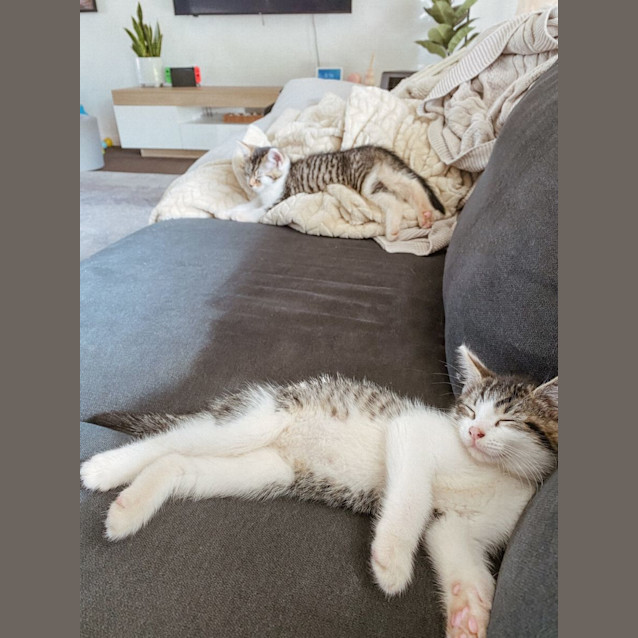 Photo of Taco & Pickle