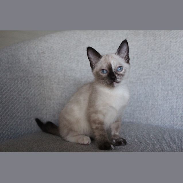 Photo of Emma