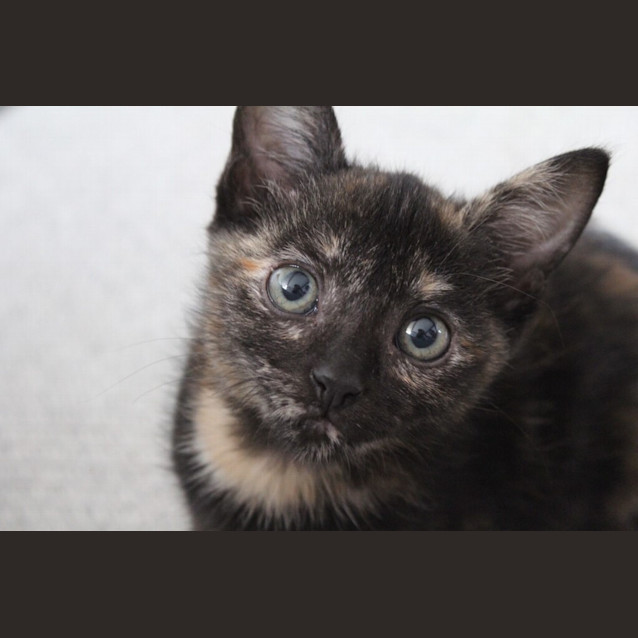 Photo of Esme