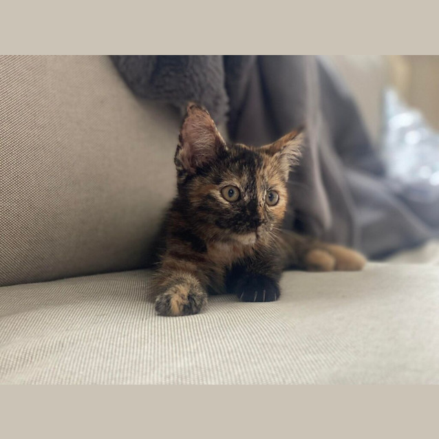 Photo of Addie