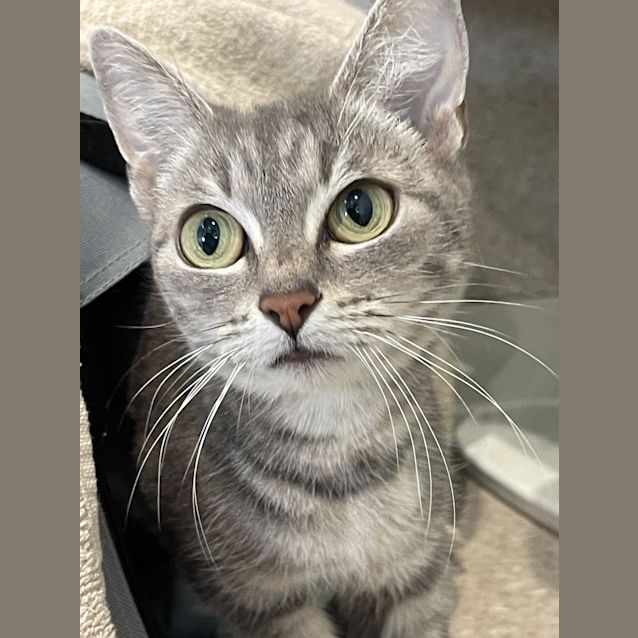 Photo of Mrs Bouvier