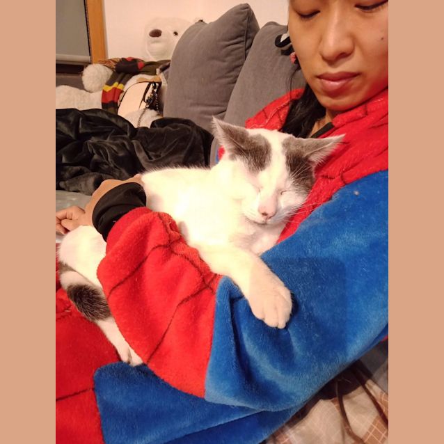 Photo of Slade *9 Lives Project Rescue*