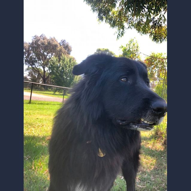 Photo of Egor