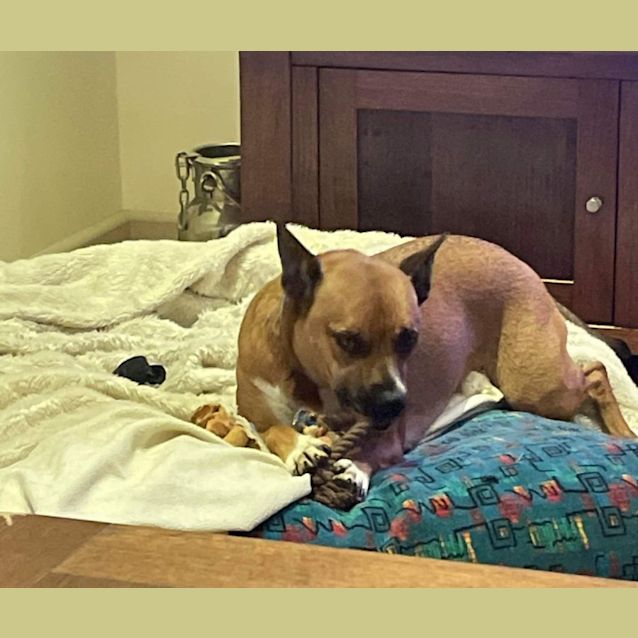 Photo of Lexi 