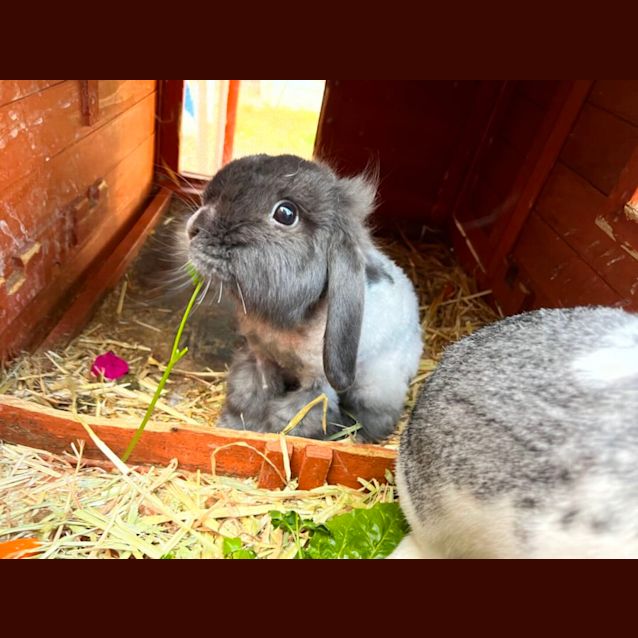 Photo of Theo & Athena
