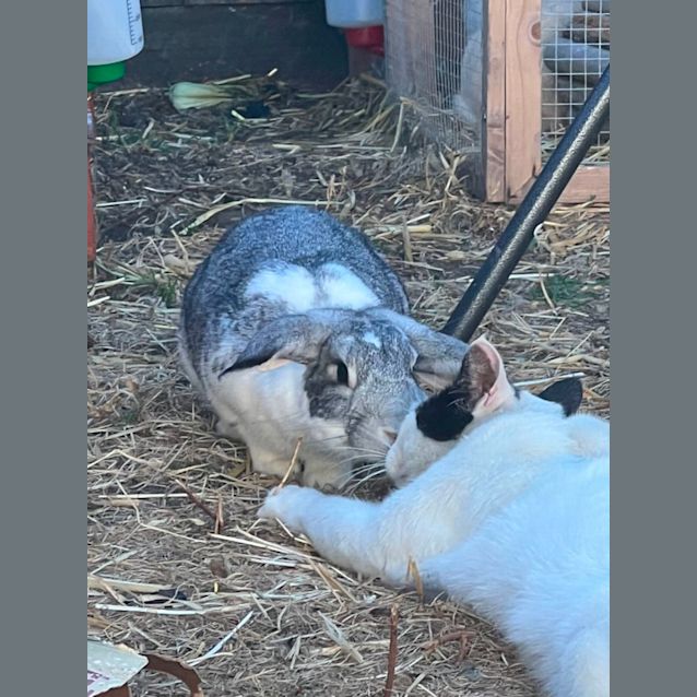 Photo of Theo & Athena