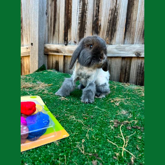 Photo of Theo & Athena