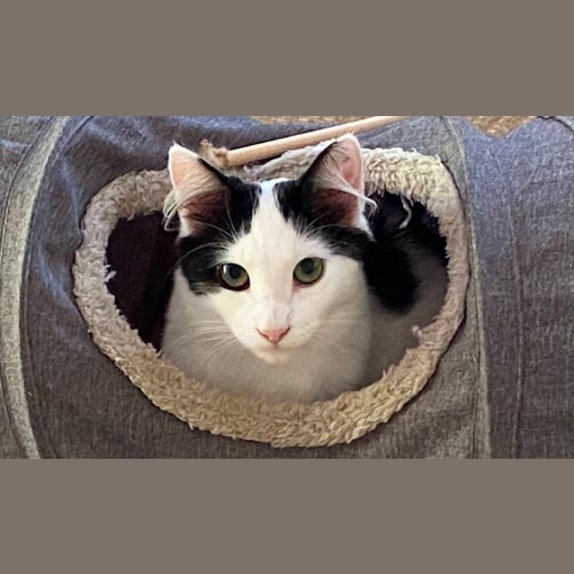 Photo of Tabasco & Frankie