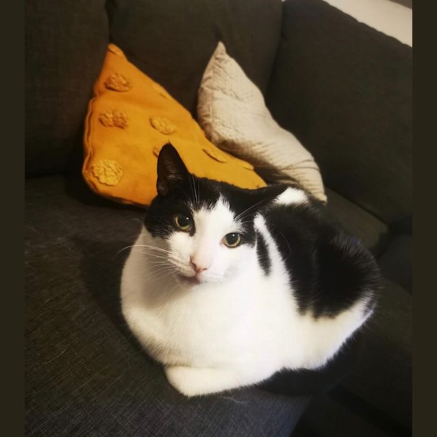 Photo of Lexi & Taco